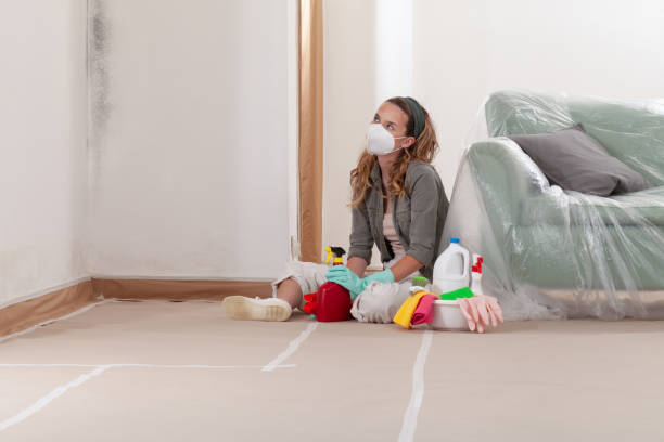 Reliable Mold Testing contractor in Kewadin, MI by WQB Mold Removal